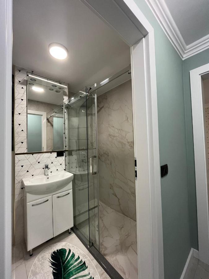 Ely Apartaments Borşa 外观 照片